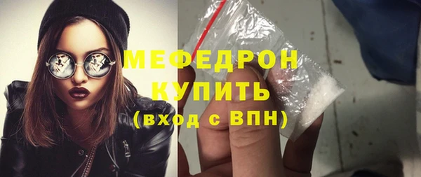 хмурый Пересвет