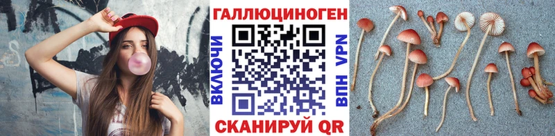 Псилоцибиновые грибы мухоморы  Приозерск 